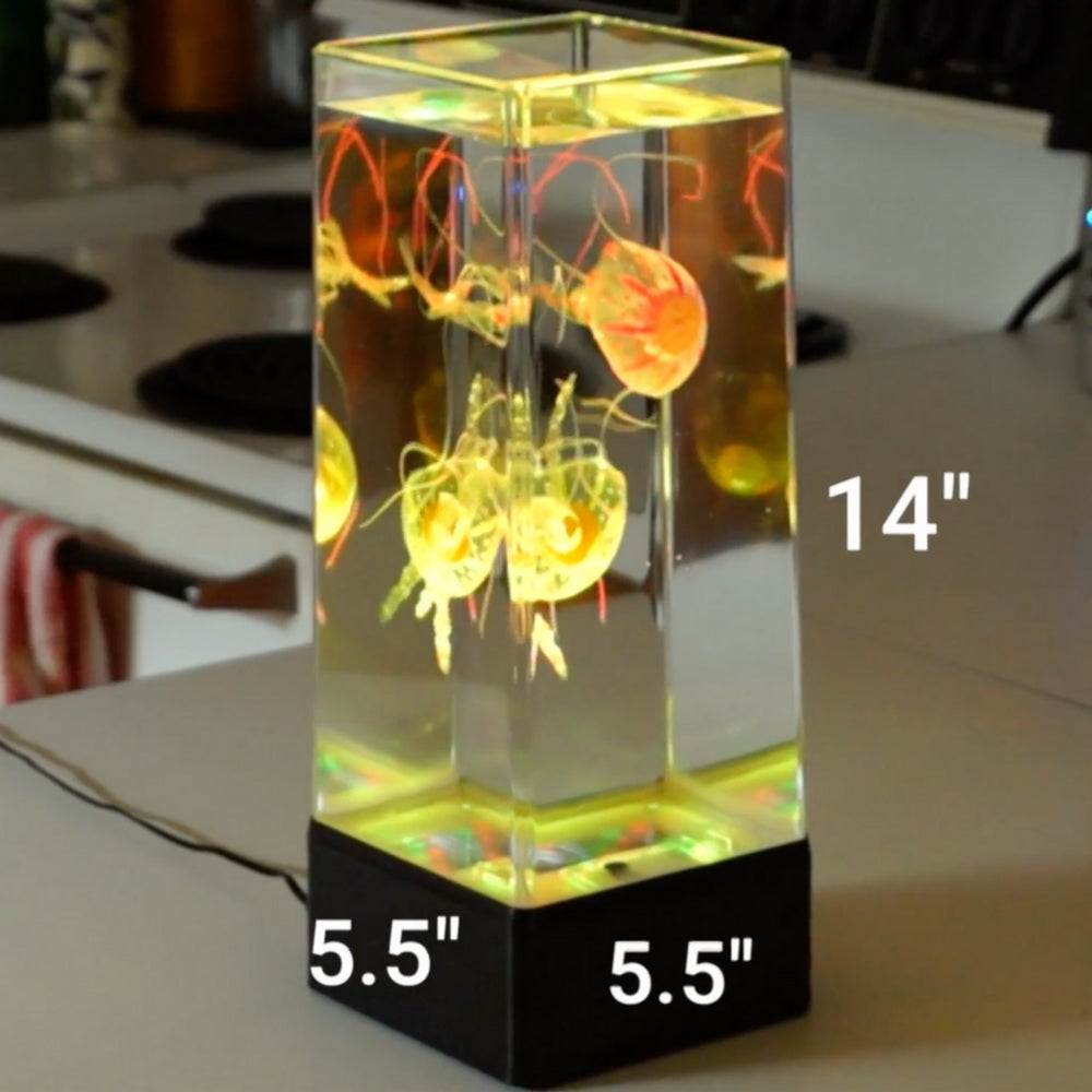 JINX Luminous Jellyfish Sensory Mood Lamp with vibrant glowing jellyfish in a clear rectangular container.